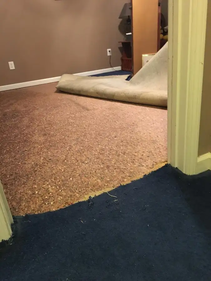 Carpet pad removal revealing water damage during Drying & Dehumidification in Wheaton